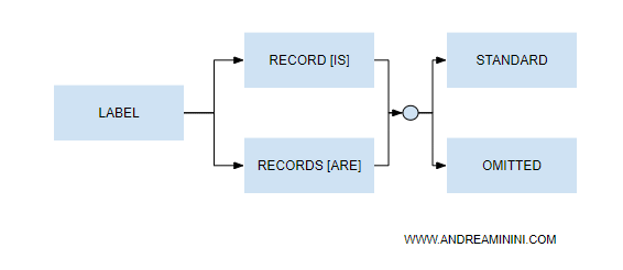 il formato della clausola LABEL RECORD nel linguaggio Cobol