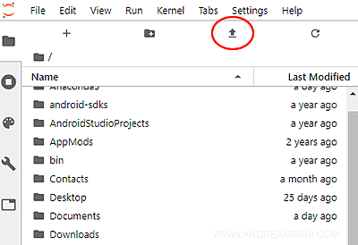 come caricare un dataset in memoria su Jupyter Lab