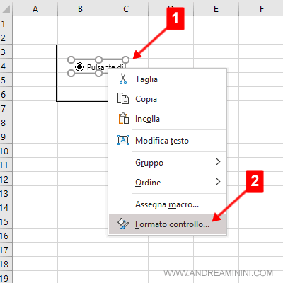 selezionare formato di controllo