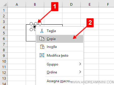 selezionare e copiare il pulsante di scelta