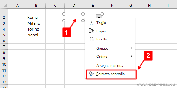 selezionare la voce Formato controllo
