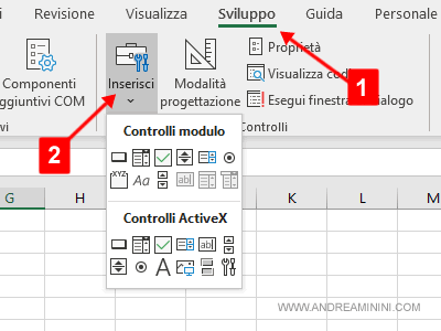 Cliccare su Sviluppo > Inserisci