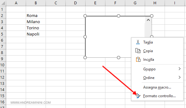 seleziono Formato di controllo per configurare il modulo di controllo