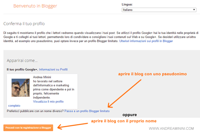 la scelta del profilo da usare sul blog