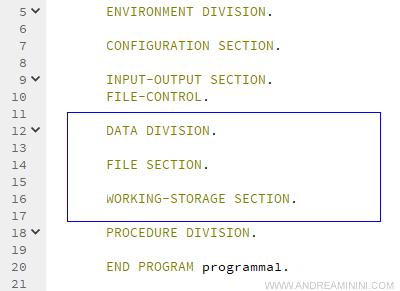 la Data Division in un programma scritto nel linguaggio Cobol