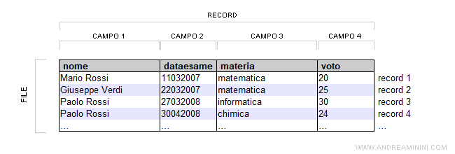 la differenza tra file, record e campi