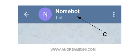 entrare nelle impostazioni del bot