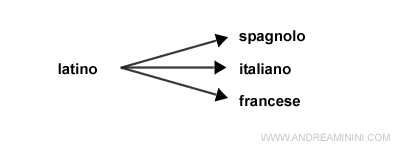 esempio, l'evoluzione della lingua latina in italiano, spagnolo e francese
