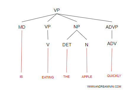 l'albero sintattico di una frase verbale ( esempio )