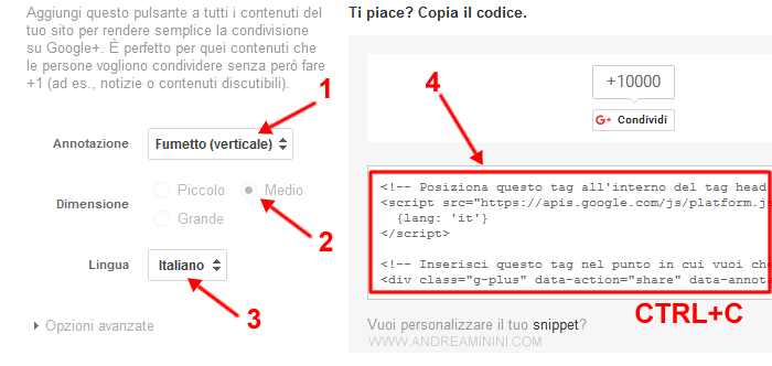 copiare lo script da includere nel codice sorgente del sito web
