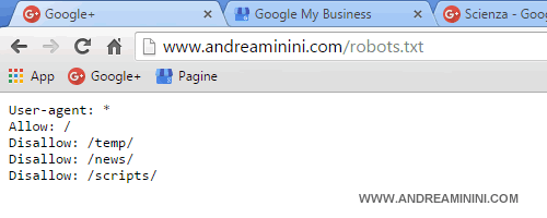 esempio di visualizzazione del file robots.txt  sul browser