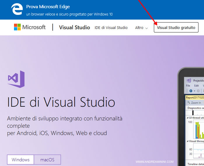 clicco su Visual Basic gratuito