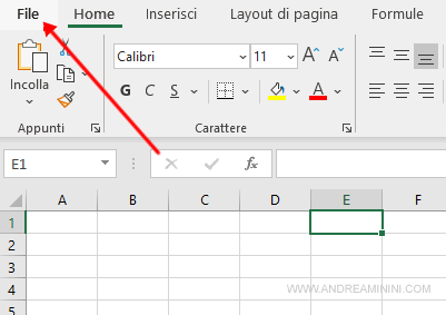 cliccare su File e poi su Opzioni