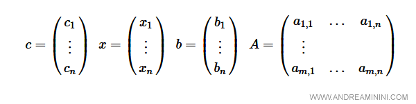 il significato dei vettori e delle matrici del modello di ottimizzazione lineare in forma compatta