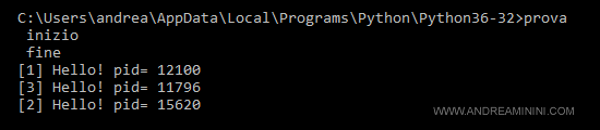 un esempio di chiamata dal prompt del DOS su Windows