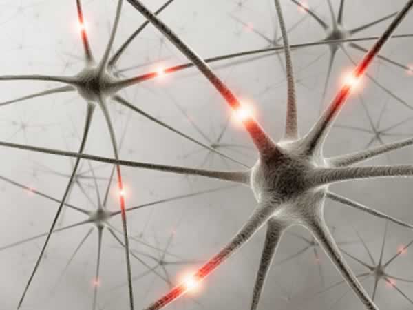 un esempio di rete neurale biologica con neuroni e sinapsi