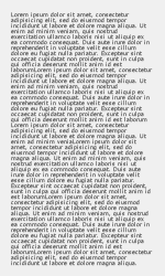 esempio di testo lungo